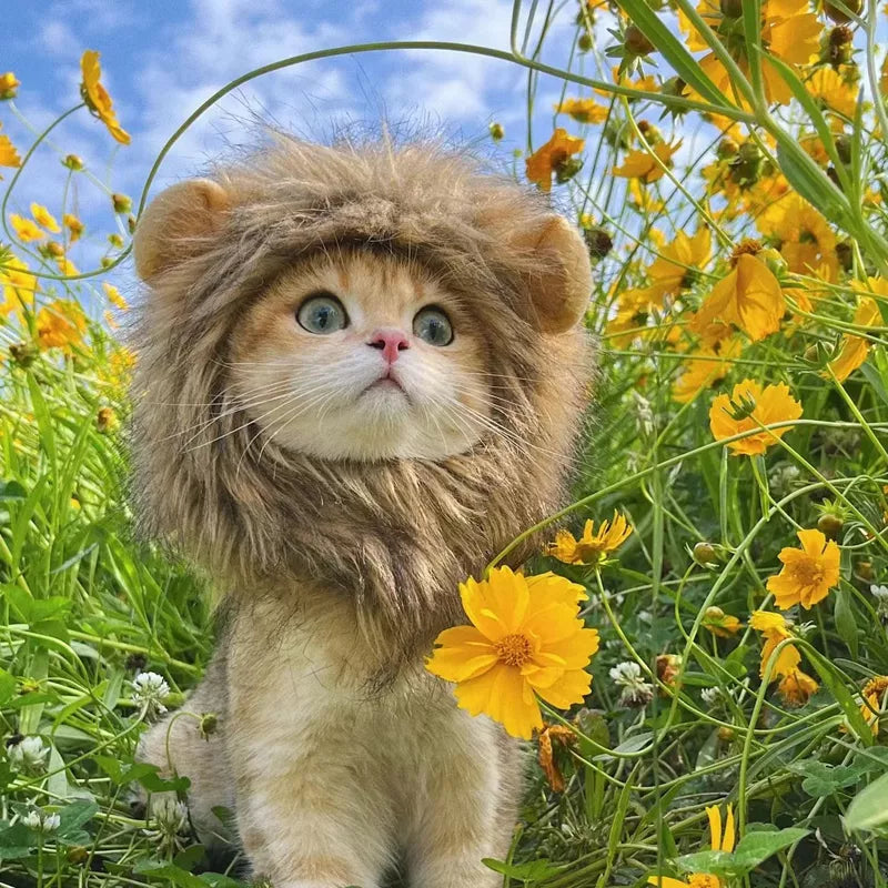 pawry-lionmane-cat-costume