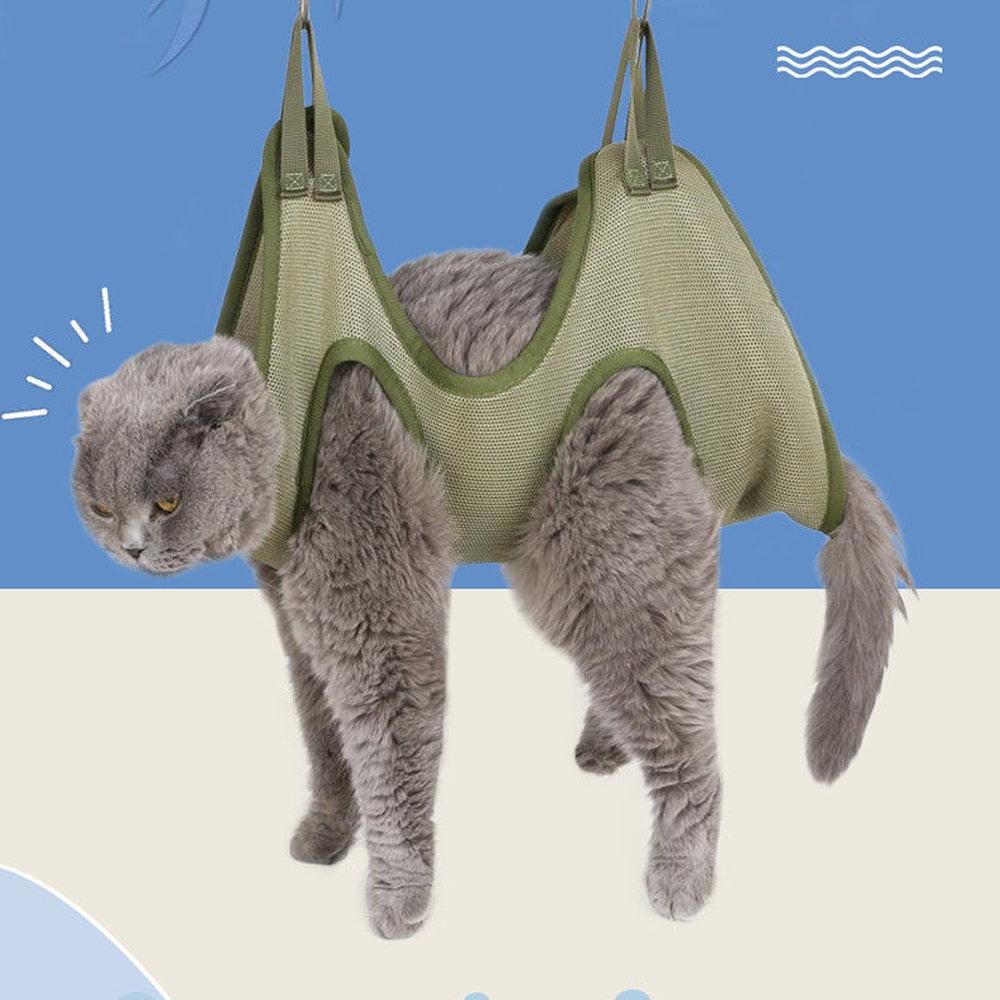 pet-grooming-hammock