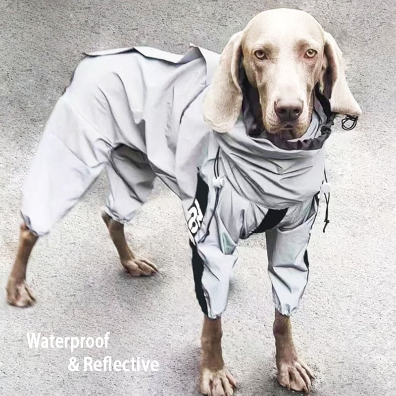 reflective-dog-raincoat