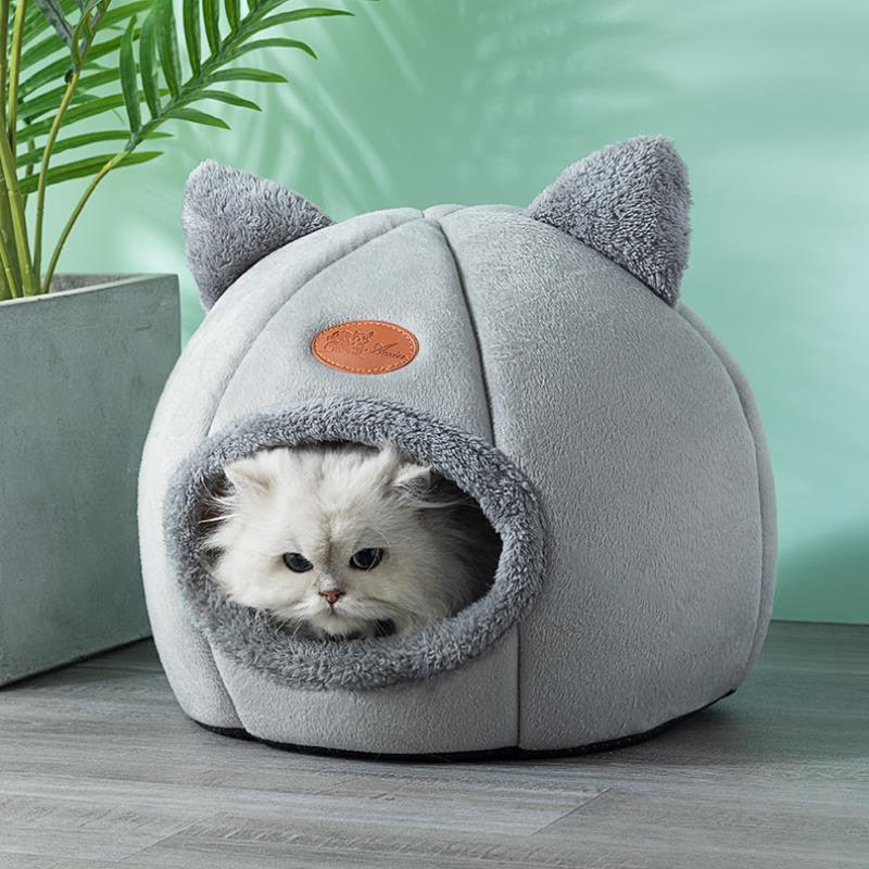 cat-bed